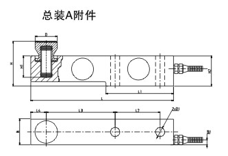 柯力SB荔枝视频在线观看免费高清视频总装A附件