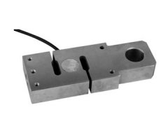 柯力DG荔枝视频在线观看免费高清视频