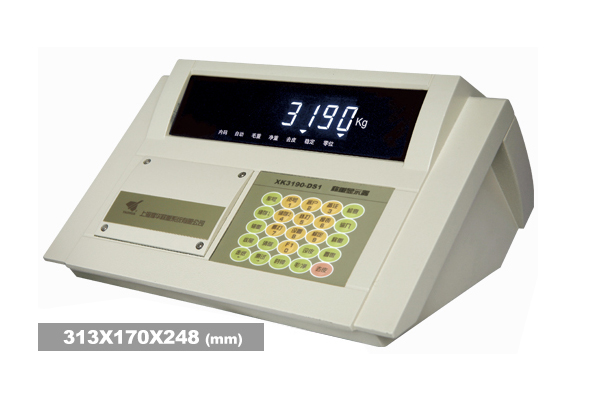 耀华XK3190-DS1荔枝视频下载APP黄