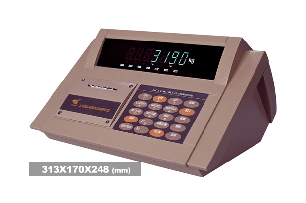 耀华XK3190-DM1荔枝视频下载APP黄