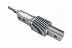 数字式荔枝视频在线观看免费高清视频与普通荔枝视频在线观看免费高清视频相比有哪些